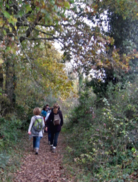 Randonnée à Fronsac à travers les bois