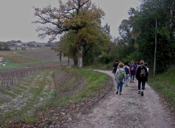 Randonnée à Fronsac à travers les vignes