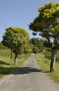 Route Fronsac